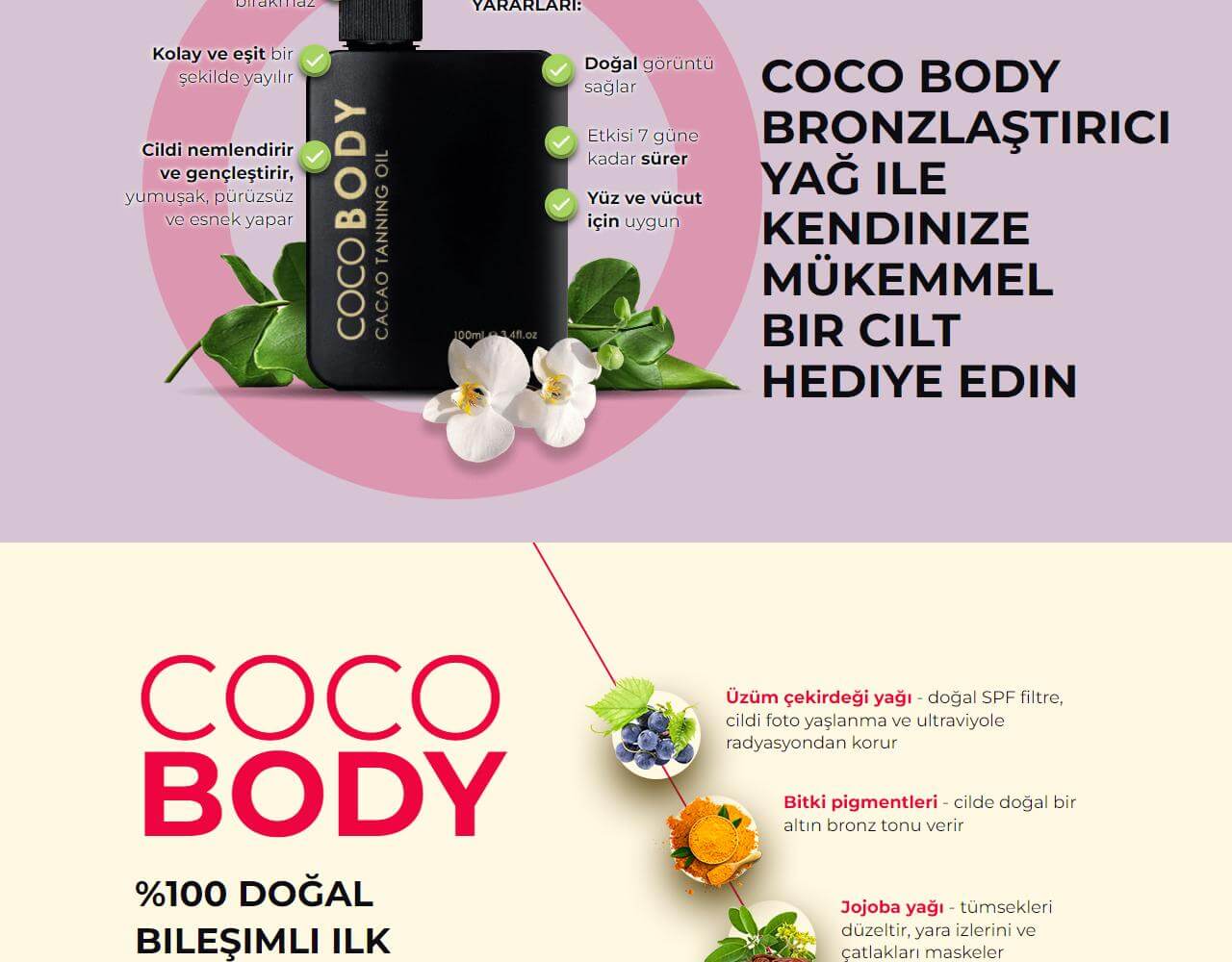 Coco Body 3