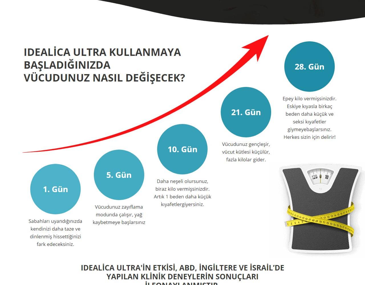 Idealica 5