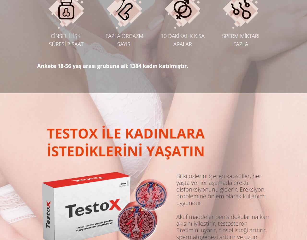 TestoX 2